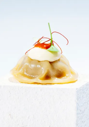 dumpling_gastronomia_singularis
