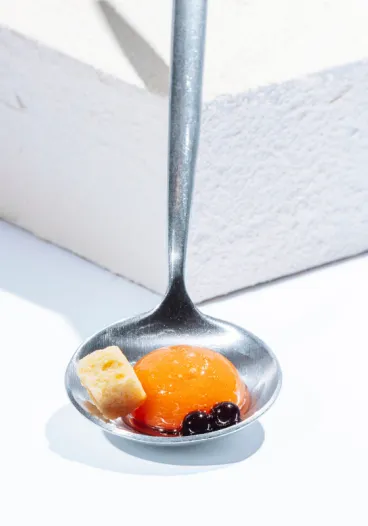 gastronomia_singularis