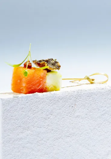 pdm_gastronomia_singularis